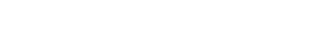 Model name white outline - DISCOVERY