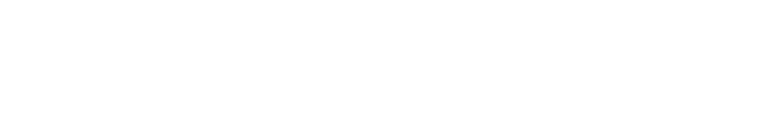 Model name white outline - MEIGI USA