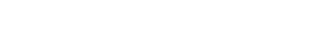 Model name white outline - PIONEER