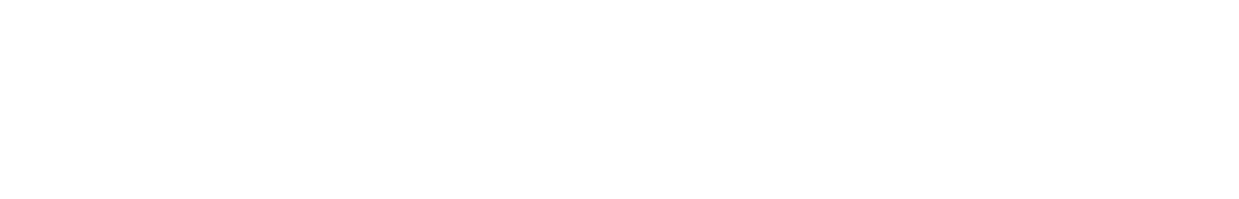 Model name white outline - WANDERER
