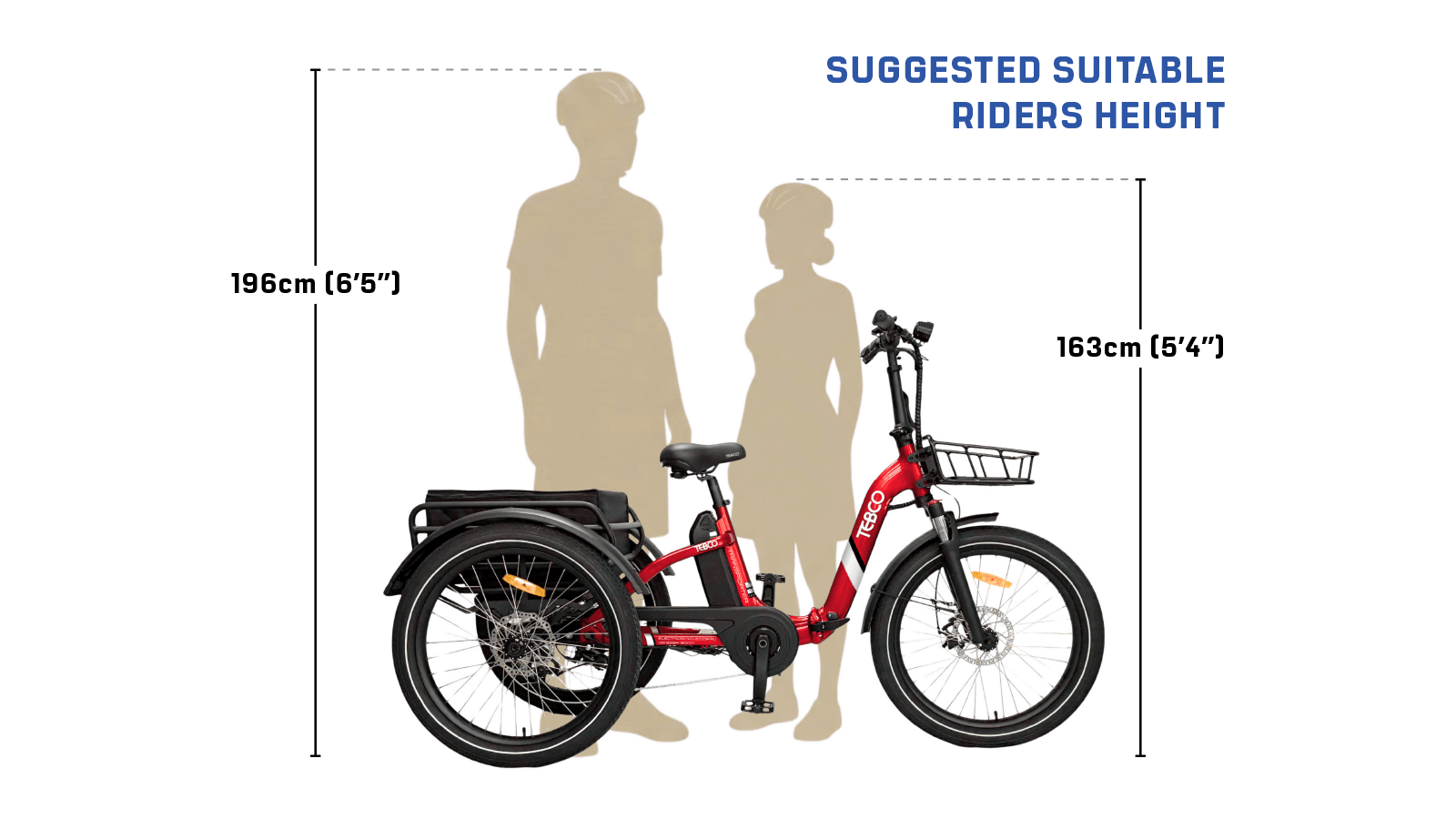 TRANSPORTER Height Diagram